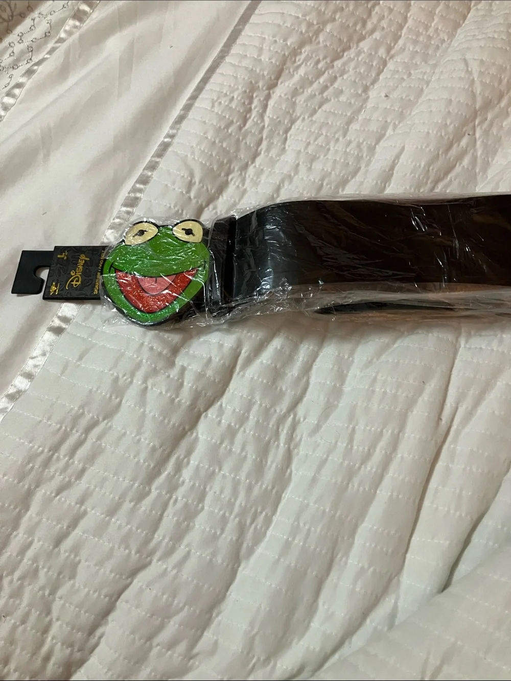 Disney Kids Belt with Kermit Face Accent in Black and Green Buckle Down